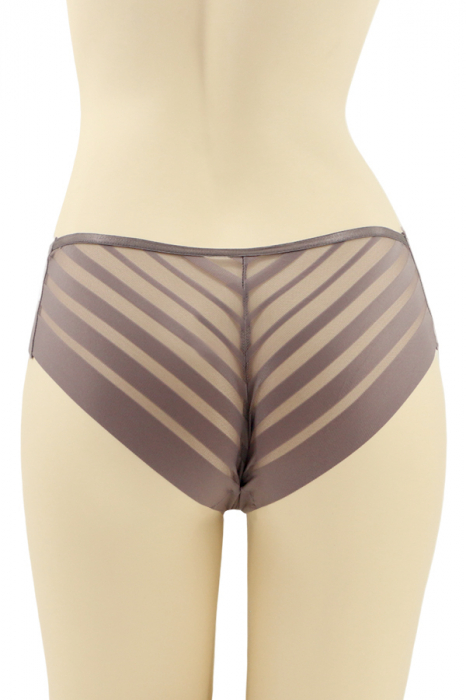 Chiloti clasici cu segmente transparente CT-Q8201gri [2]