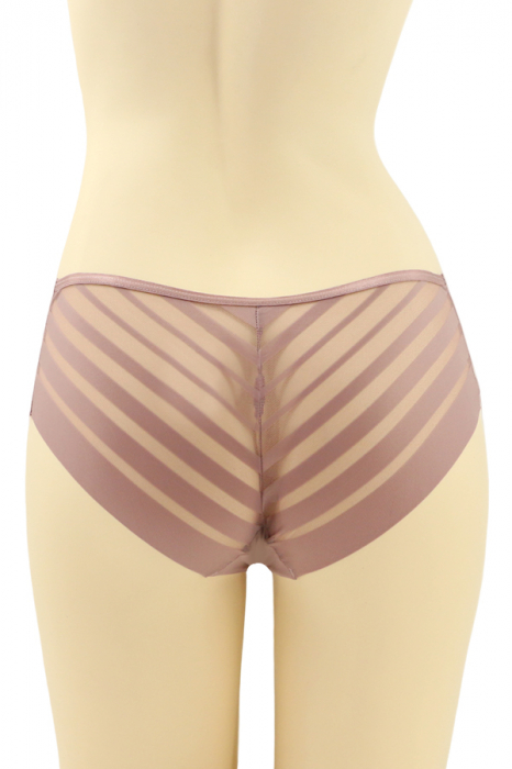 Chiloti clasici cu segmente transparente CT-Q8201mov [2]