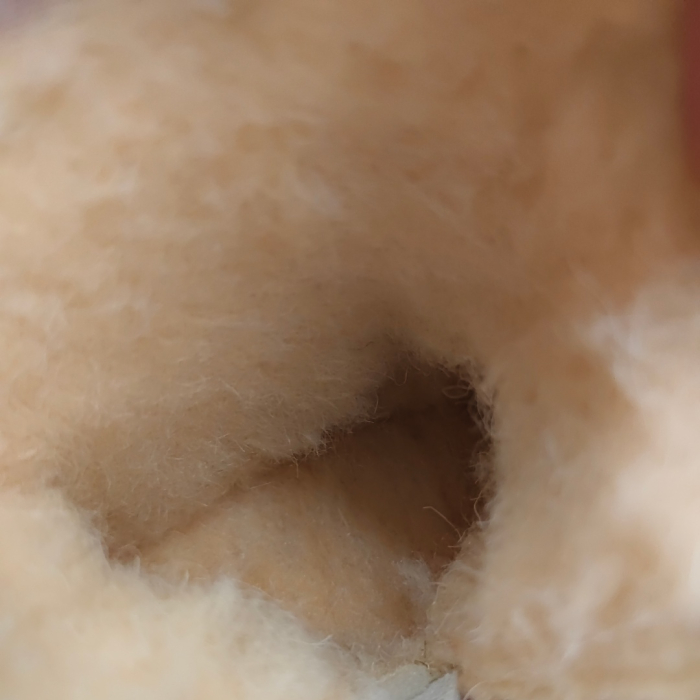 Cizme imblanite B8919 [11]