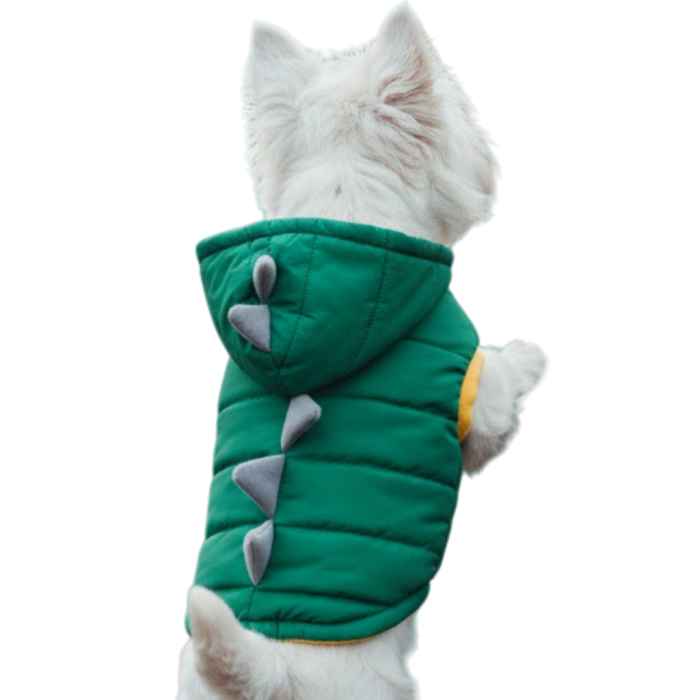 Costumas de dinozaur cu gluga XINA2116 [8]