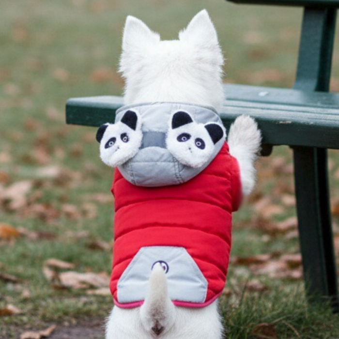 Geaca cu gluga flausata XINA2121rosu [1]