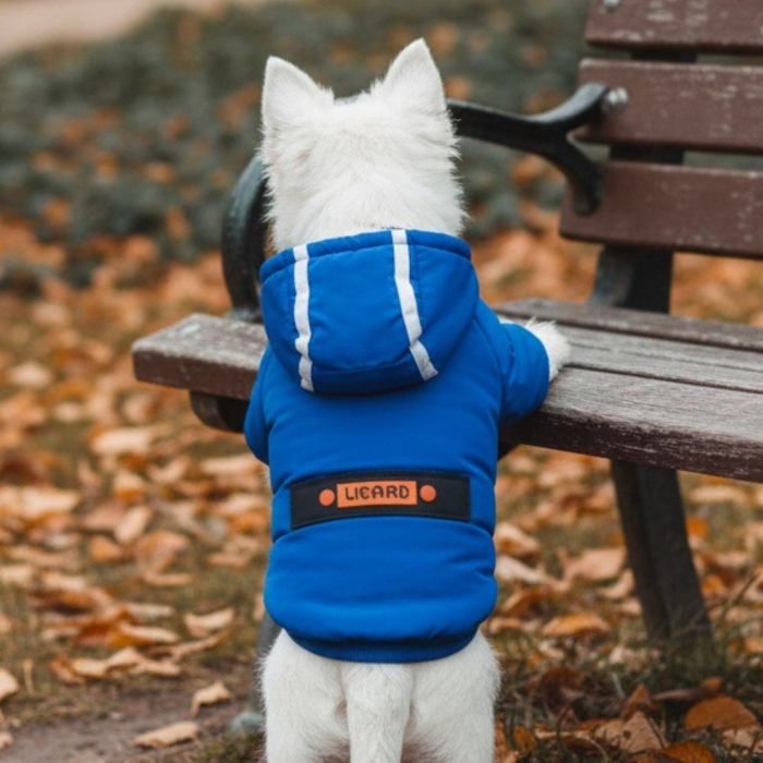 Geaca cu gluga MDL-2417albastru [1]