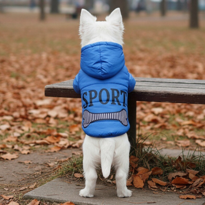 Geaca cu gluga MDL-2418albastru [5]