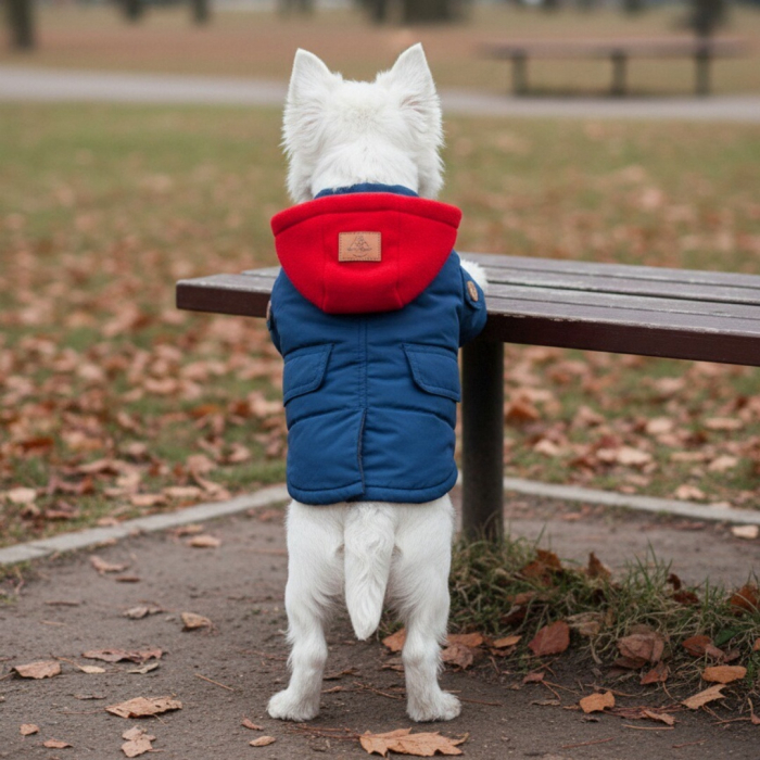 Geaca cu gluga XINA2115albastru [1]