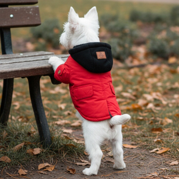 Geaca cu gluga XINA2115rosu [3]