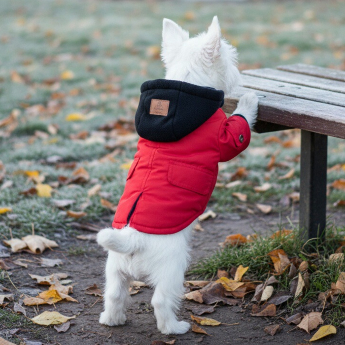 Geaca cu gluga XINA2115rosu [1]