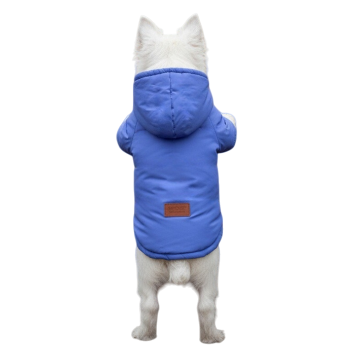 Geaca cu gluga YYP-LL04albastru [6]