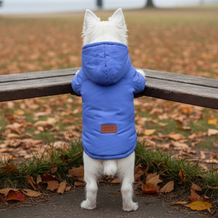 Geaca cu gluga YYP-LL04albastru [1]