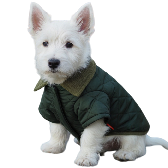 Geaca flausata XINA2123verde [8]