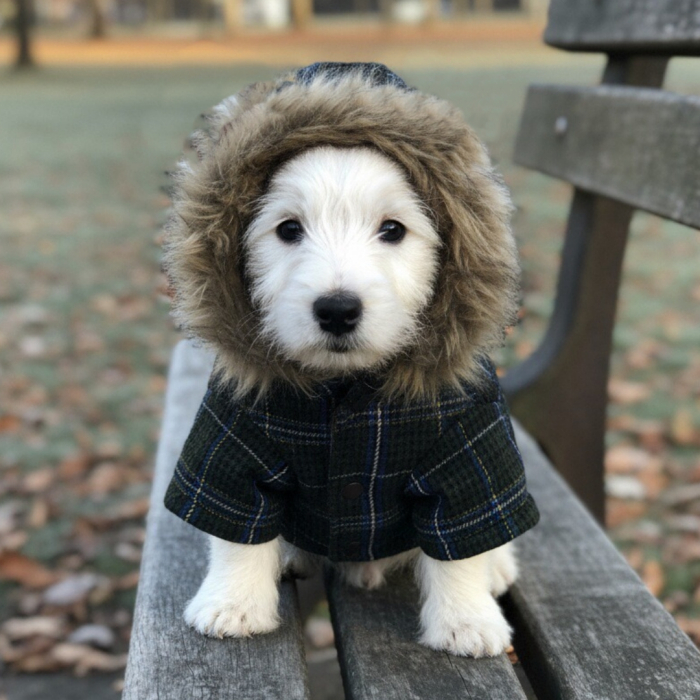 Hanorac cu gluga XINA2119verde [3]