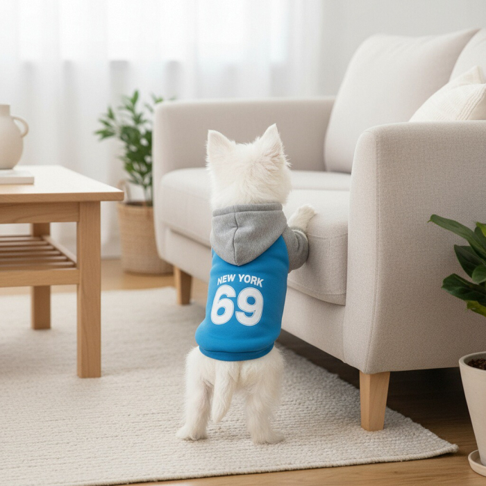 Hanorac cu gluga XINA2314albastru [4]