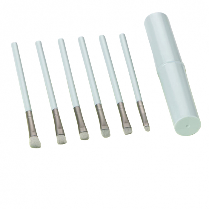 Mini set portabil cu 6 pensule machiaj si tub depozitare SL-25Kalbastru [1]