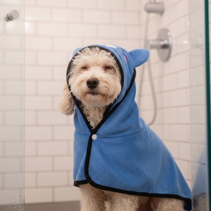 Prosop moale pentru uscare, super-absorbant MDL-2421albastru [2]