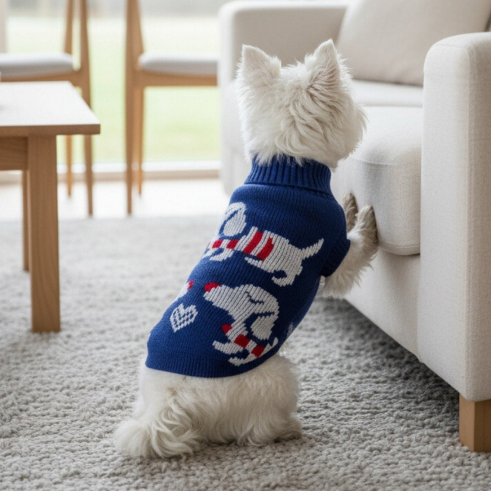 Pulover tricotat XINA2207bleumarin [3]