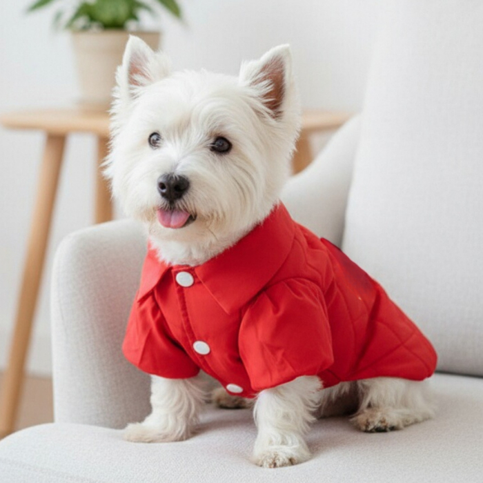 Rochita de iarna cu funda MDL-2416rosu [4]