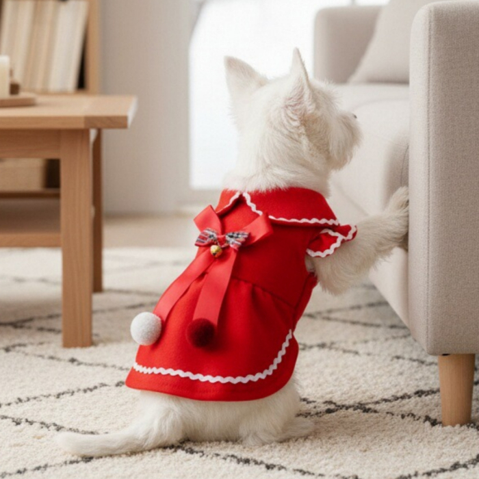 Rochita pentru Craciun DOG-08 [3]