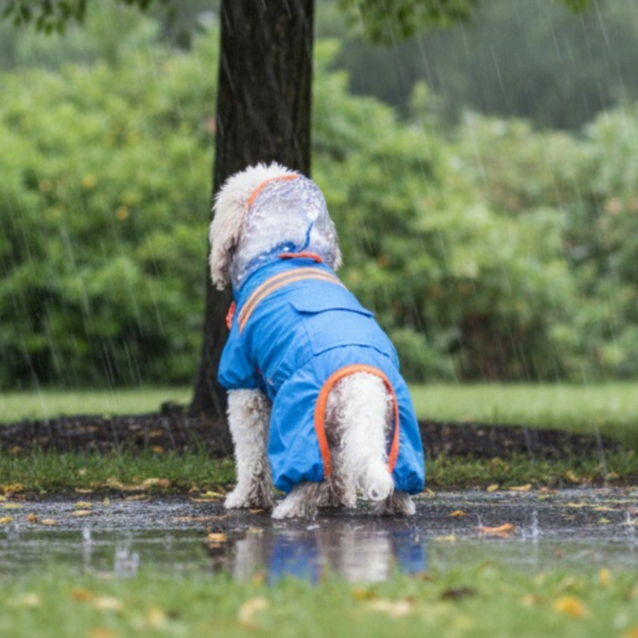Salopeta de ploaie cu banda reflectorizanta MDL-17A [3]