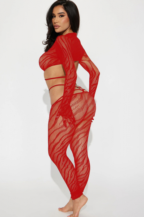 Bodystocking din plasa fina alcatuit din doua piese DLS-7849rosu [2]