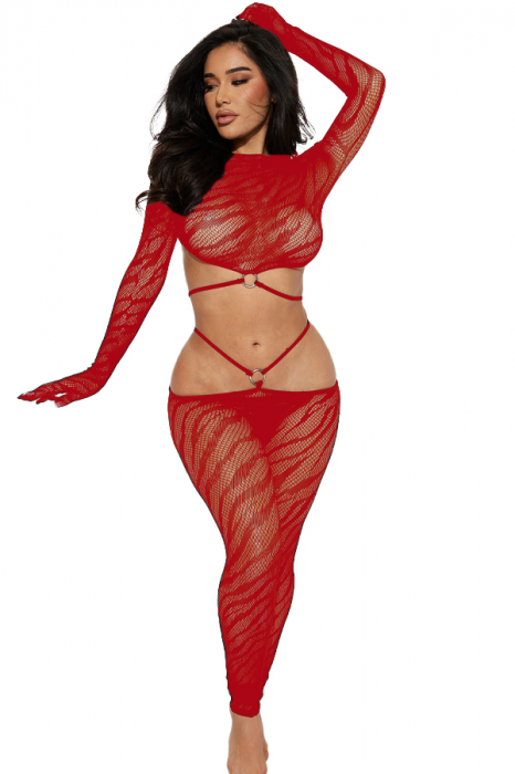 Bodystocking din plasa fina alcatuit din doua piese DLS-7849rosu [1]