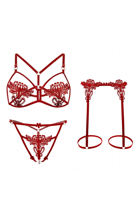 Set lenjerie erotica decupata, sutien, chiloti tanga cu margele si portjartier LH9306visiniu [3]