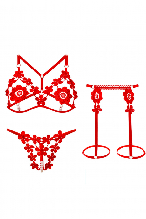 Set lenjerie erotica decupata, sutien si chiloti tanga cu margele + portjartier LH9307rosu [4]
