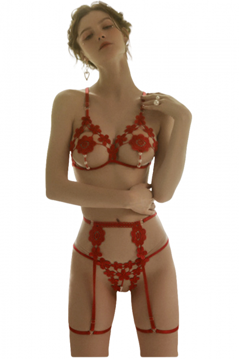 Set lenjerie erotica decupata, sutien si chiloti tanga cu margele + portjartier LH9307visiniu [1]