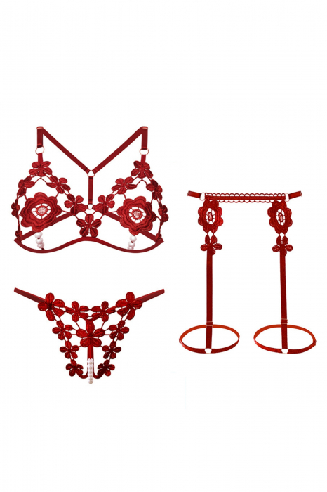 Set lenjerie erotica decupata, sutien si chiloti tanga cu margele + portjartier LH9307visiniu [4]