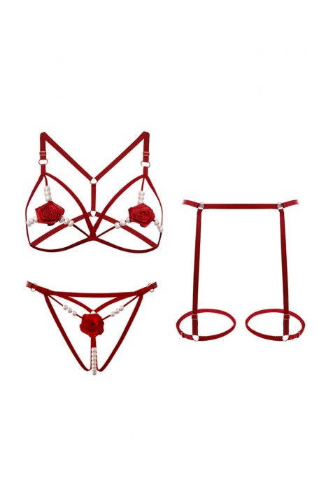 Set lenjerie erotica decupata, sutien si chiloti tanga cu margele + portjartier LH9308visiniu [4]