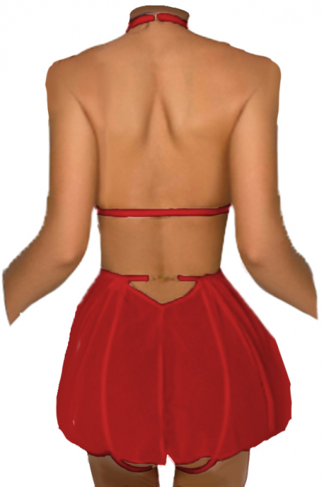 Set lenjerie erotica, rochie babydoll cu dantela brodata si chiloti tanga TY-S712visiniu [2]