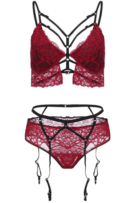Set lenjerie erotica, top si chiloti brazilieni cu jartiere atasate WSY-4003 [2]
