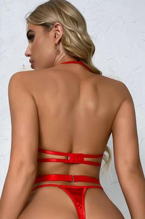 Set lenjerie erotica, sutien, chiloti tanga si centura portjartier cu benzi MDD-T916rosu [2]