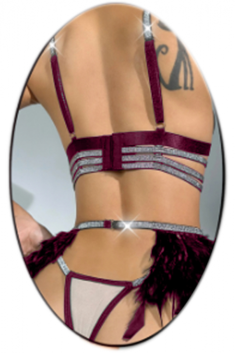 Set lenjerie erotica, sutien, chiloti tanga si portjartiera cu benzi elastice TY-LX185visiniu [2]