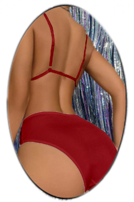 Set lenjerie erotica tip belly dance cu paiete si franjuri, sutien si chiloti sexy TY-LX198rosu [2]