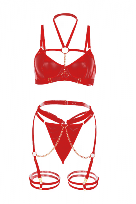 Set lenjerie erotica, top, chiloti tanga cu centura portjartier si benzi elastice TY-PU71rosu [3]