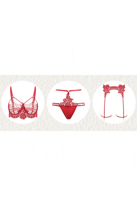 Set lenjerie erotica, top sexy, chiloti tanga si portjartier GJ431rosu [2]