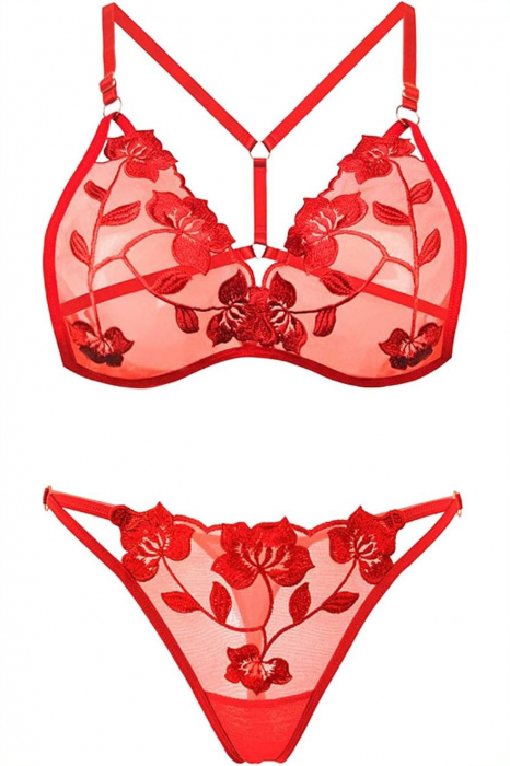 Set lenjerie erotica transparenta cu dantela brodata, sutien si chiloti tanga LH9304rosu [3]