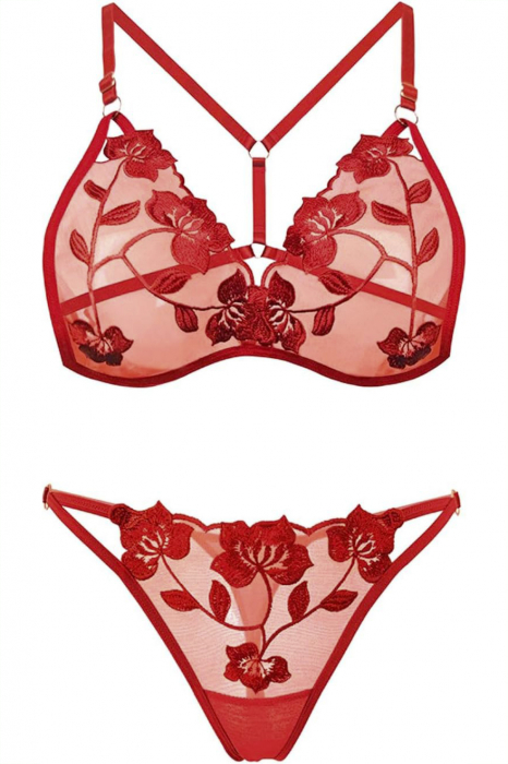 Set lenjerie erotica transparenta cu dantela brodata, sutien si chiloti tanga LH9304visiniu [3]