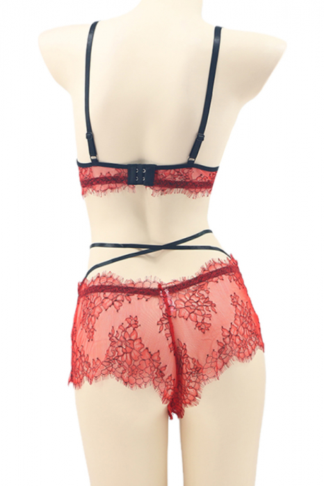Set lenjerie senzuala cu dantela, sutien si chiloti sexy TY-LX11rosu [2]