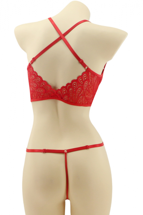 Set lenjerie sexy cu broderie, top si chiloti tanga MG-37619rosu [2]