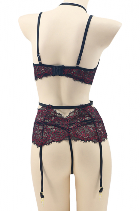 Set lenjerie sexy cu dantela, sutien, portjartier si chiloti tanga TY-LX140visiniu [3]