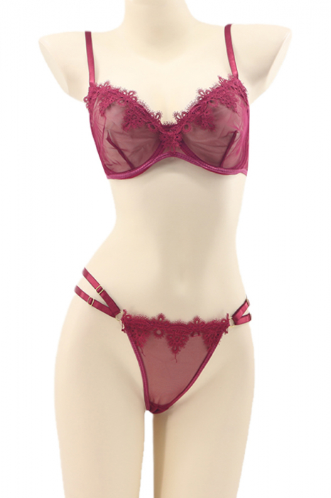 Set lenjerie sexy cu dantela brodata, sutien si chiloti tanga TY-LX79visiniu [4]