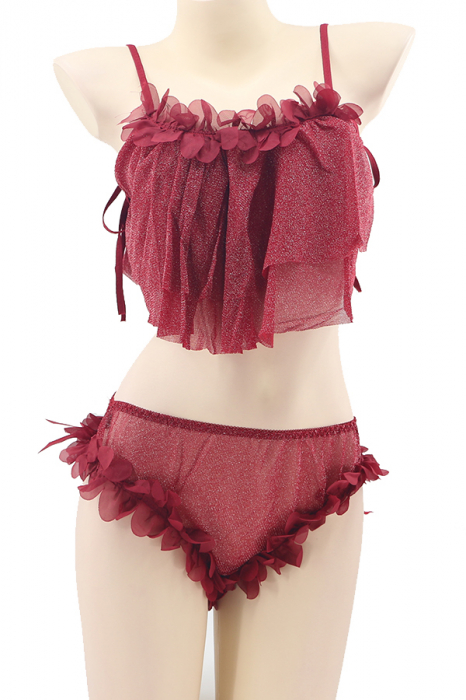 Set lenjerie sexy cu detalii sclipitoare, top si chiloti brazilieni TY-S461visiniu [2]