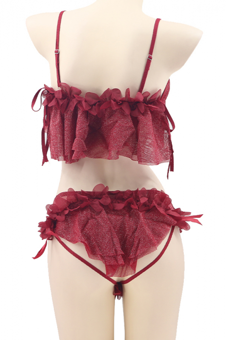 Set lenjerie sexy cu detalii sclipitoare, top si chiloti brazilieni TY-S461visiniu [3]