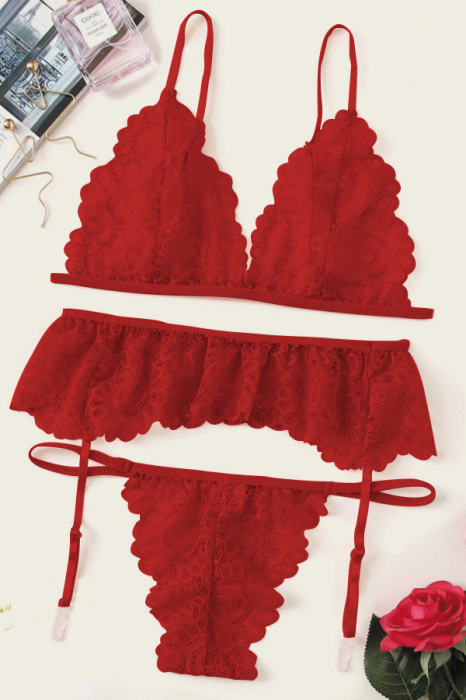 Set lenjerie sexy cu dantela, sutien, portjartier si chiloti tanga TY-LX61rosu [3]
