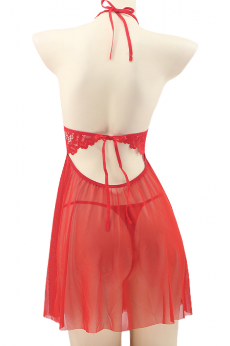 Set lenjerie sexy, rochita transparenta cu dantela si chiloti tanga TY-S553rosu [3]