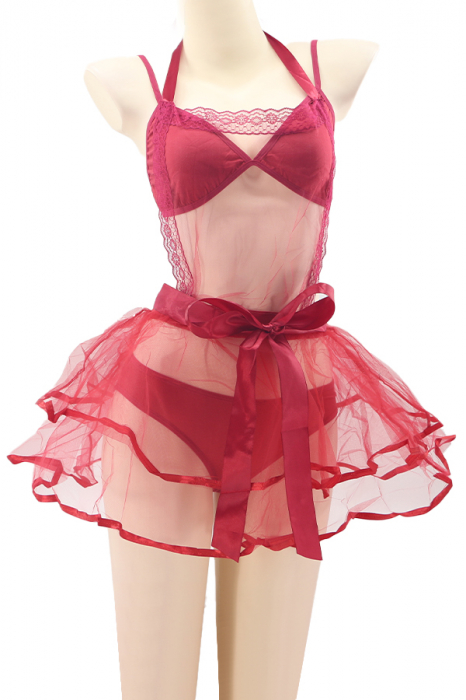 Set lenjerie sexy, sutien, rochita transparenta, cordon si chiloti clasici TY-S643visiniu [2]