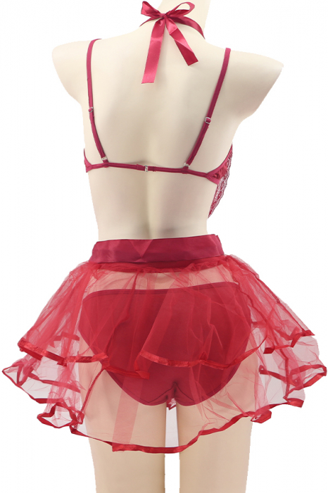 Set lenjerie sexy, sutien, rochita transparenta, cordon si chiloti clasici TY-S643visiniu [3]