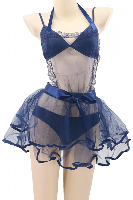 Set lenjerie sexy, sutien, rochita transparenta, cordon si chiloti clasici TY-S643bleumarin [2]