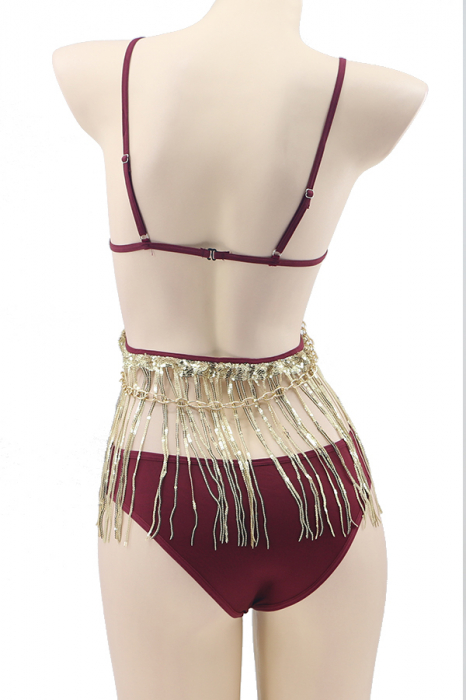 Set lenjerie sexy, top accesorizat cu franjuri stralucitoare si chiloti brazilieni TY-LX145visiniu [3]