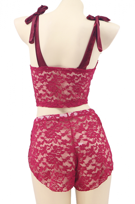 Set lenjerie sexy, top cu bretele din catifea si pantaloni scurti TY-LX87visiniu [3]